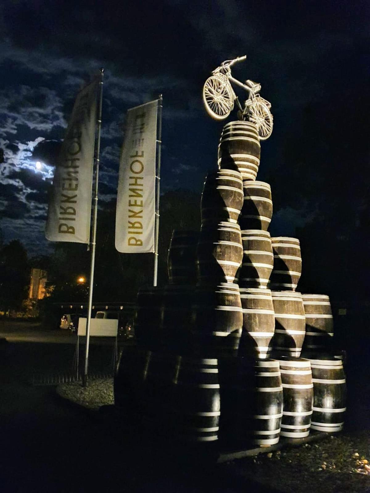 Birkenhof Gols - B & B - Wohlfuehl Hotel Mit Wochenend-Restaurant Zewnętrze zdjęcie