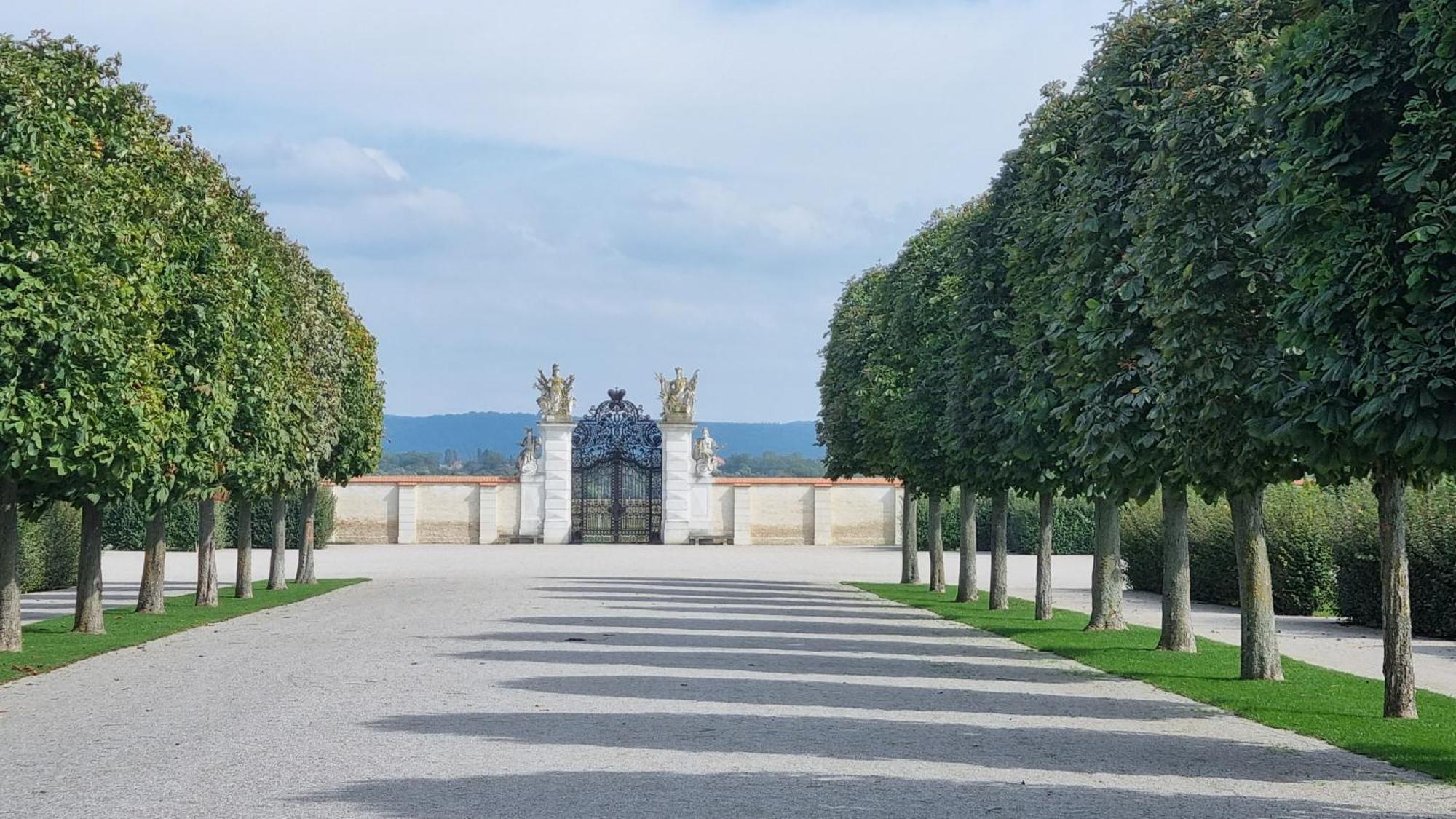 Birkenhof Gols - B & B - Wohlfuehl Hotel Mit Wochenend-Restaurant Zewnętrze zdjęcie
