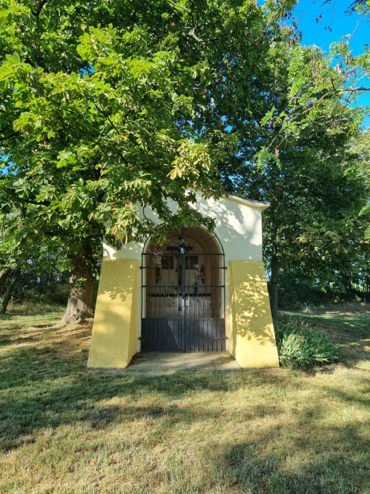 Birkenhof Gols - B & B - Wohlfuehl Hotel Mit Wochenend-Restaurant Zewnętrze zdjęcie