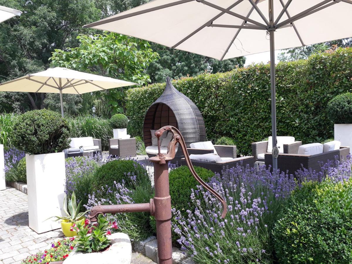 Birkenhof Gols - B & B - Wohlfuehl Hotel Mit Wochenend-Restaurant Zewnętrze zdjęcie